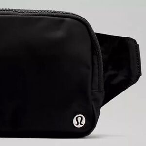 Everywhere Belt Bag-- 2L